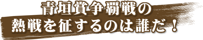 青垣賞争覇戦の熱戦を征するのは誰だ！